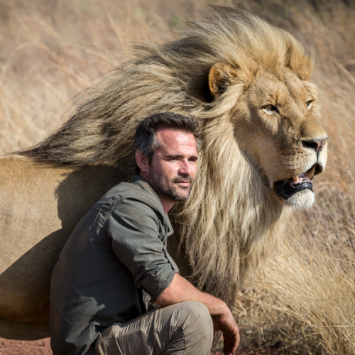 The Lion Whisperer